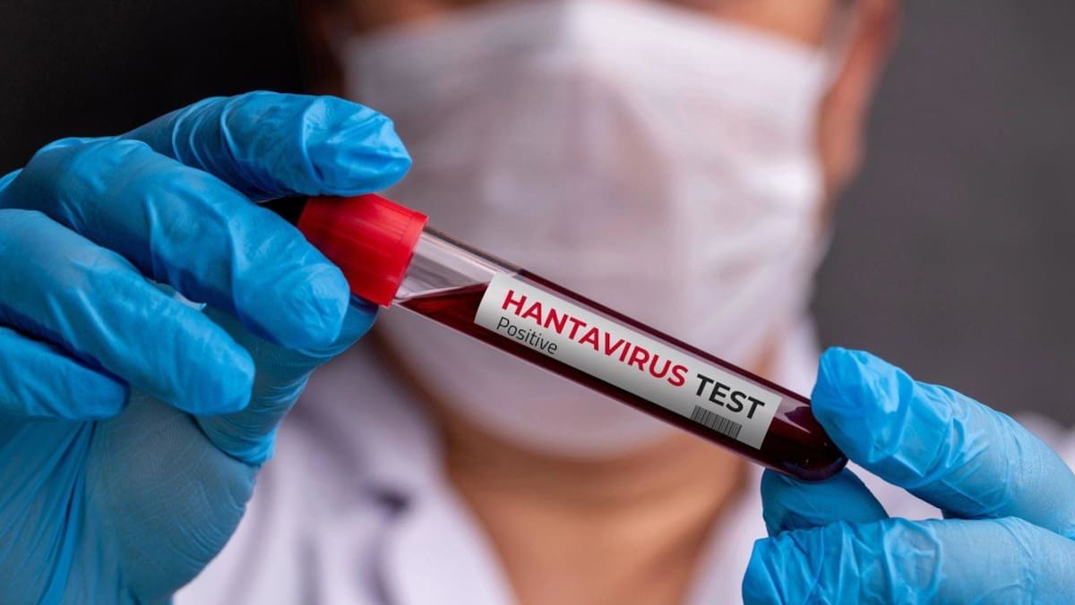 Identifican al 'paciente cero' de hantavirus y sus posibles causas de contagio. El hombre viajó a Sudamérica junto con su esposa motivado por su pasión por las aves.