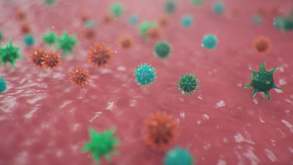 De acuerdo con la BBC 150.000 casos de fiebre hemorrágica con síndrome renal derivada de esta enfermedad en todo el mundo // 123RF.
