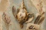 ¿Has visto morir a un pájaro?