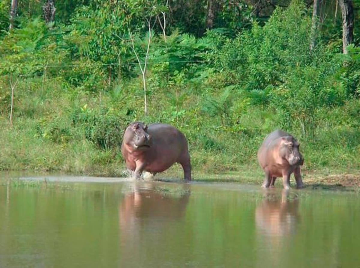 Archivo / VANGUARDIA