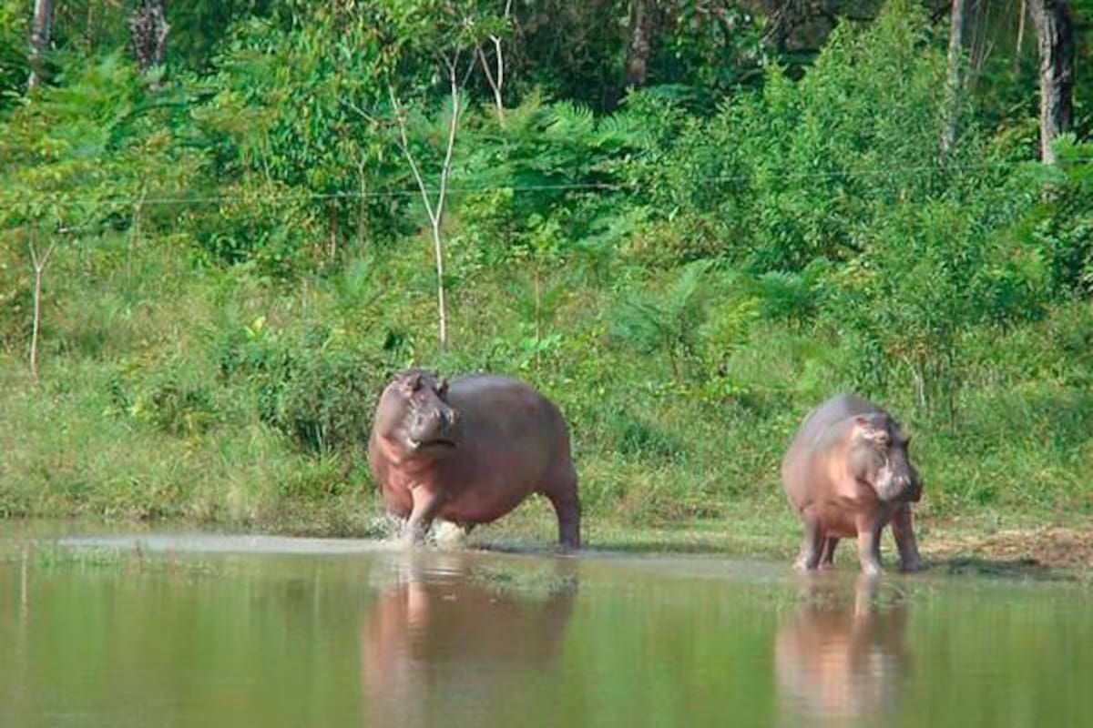 Colprensa/VANGUARDIA.