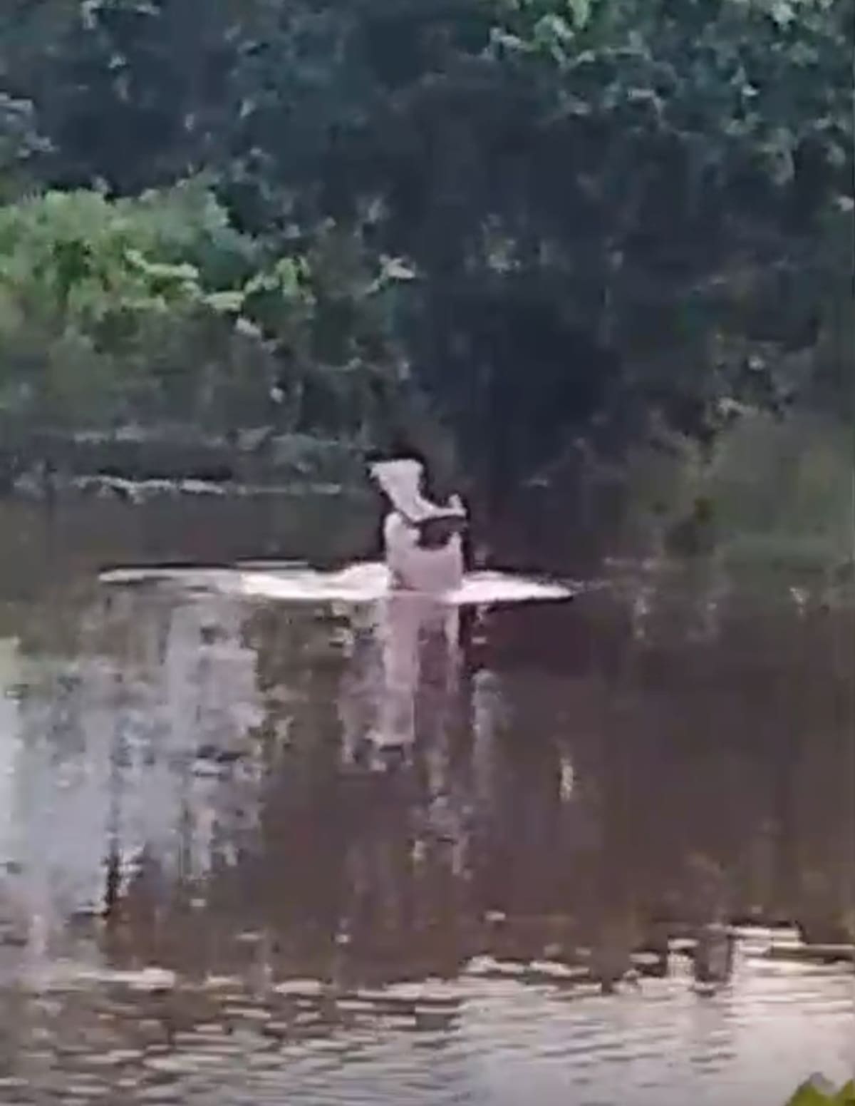 El nuevo avistamiento del hipopótamo se registró en la vereda Cuatro Bocas del corregimiento El Centro de Barrancabermeja.
Captura video/Vanguardia