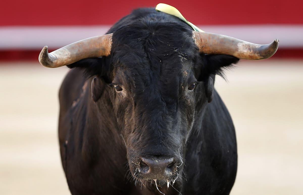 Historia de cómo era el parque de Girón hace 96 años.