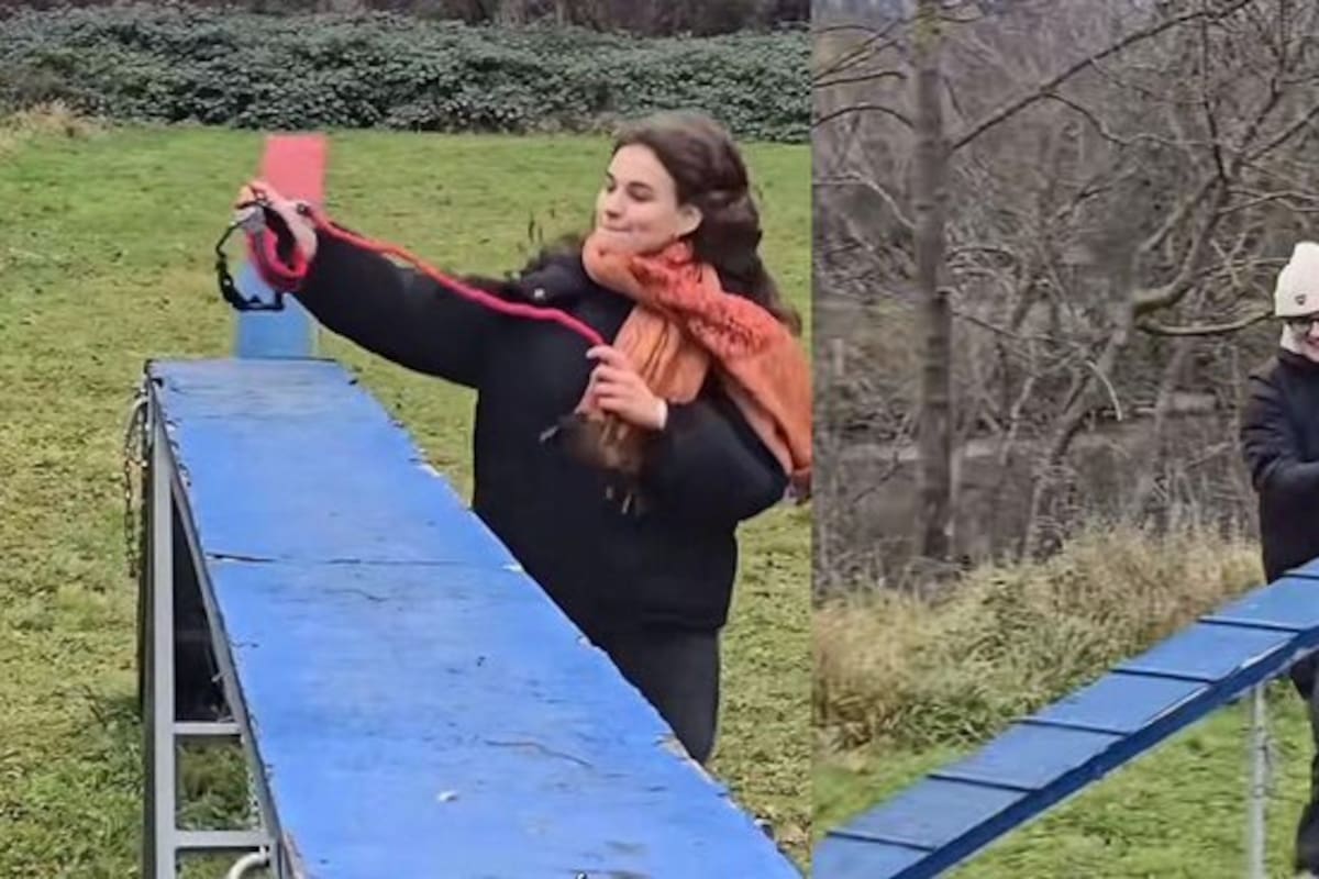 Conozca el hobby dogging: pasear lo invisible y su impacto en la salud mental.