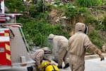 Video: hombre fue rescatado tras sufrir alrededor de 200 picaduras por un enjambre de abejas en Santander