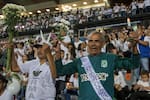 Atlético Nacional y Chapecoense se reencuentran en Medellín: el amistoso que marcará los 10 años de la tragedia