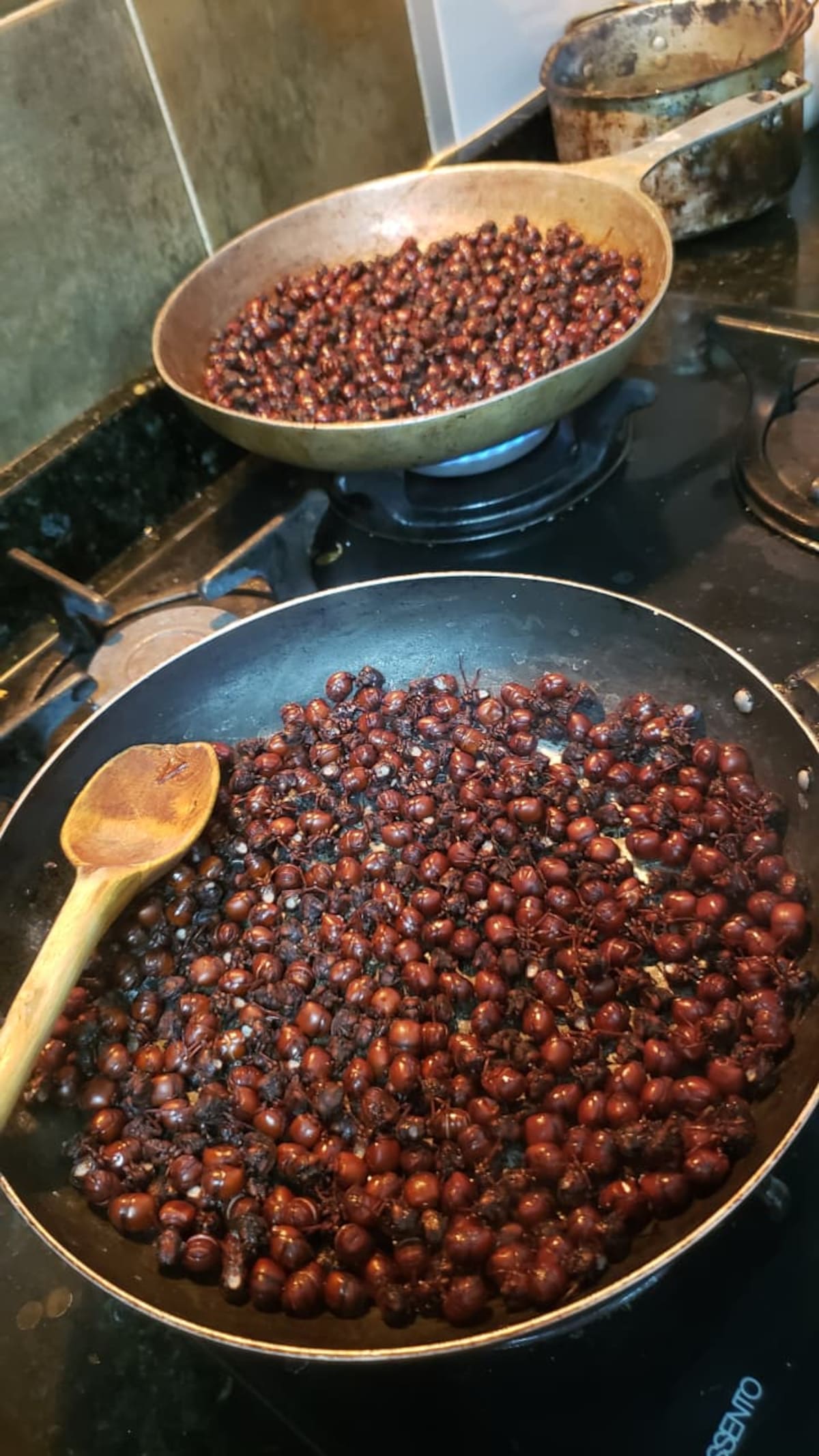 La prepaeración de las hormigas dura alrededor de 30 minutos.