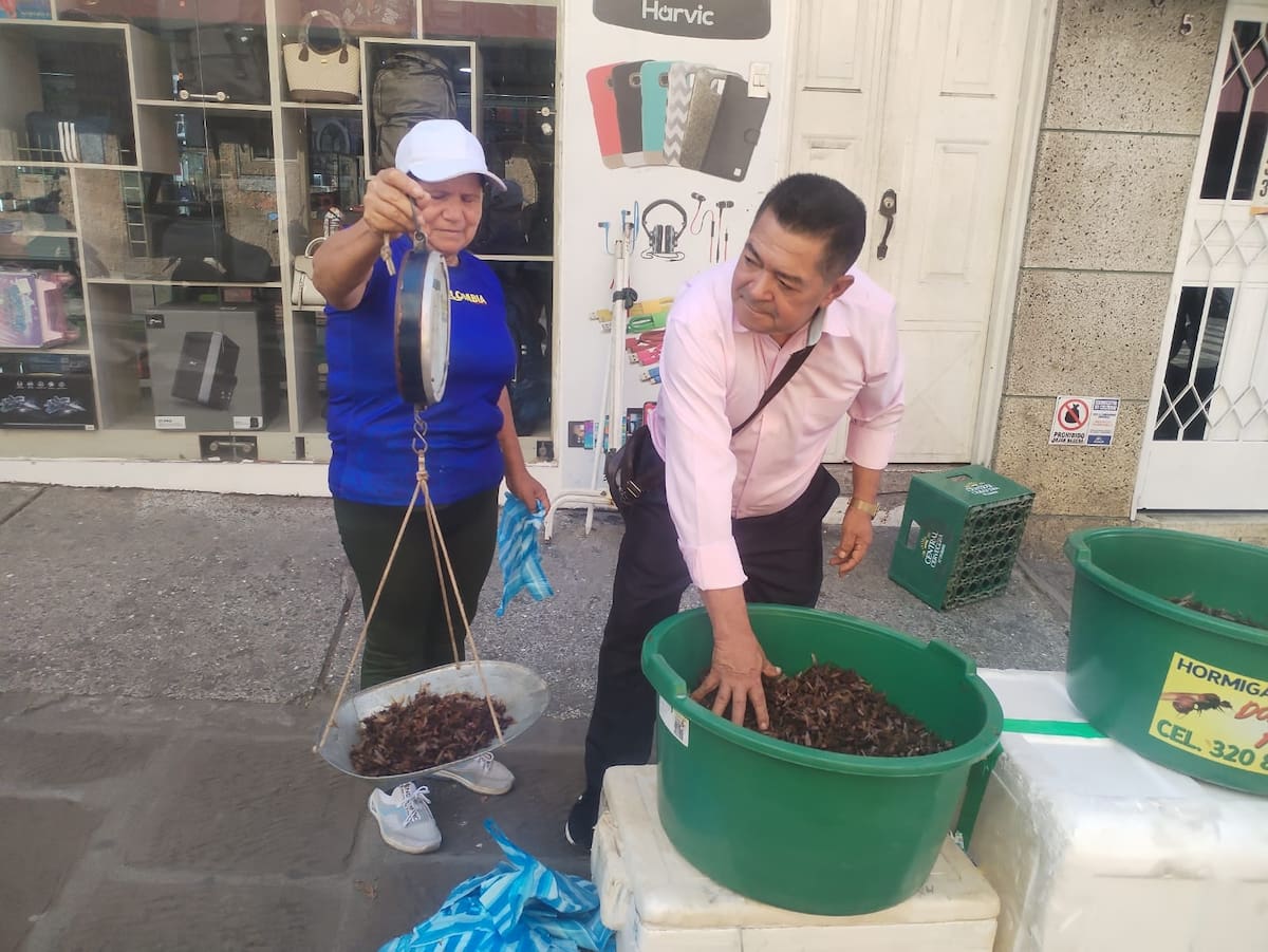 "Sí hay hormigas, frescas", así venden hormigas culonas en el sector del puente Rojas Pinilla de San Gil.