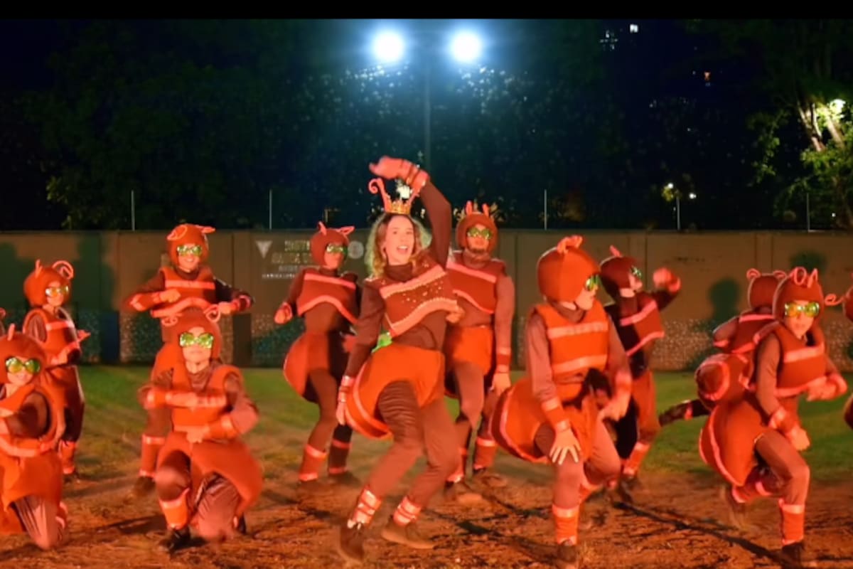 Con trajes inspirados en la tradicional hormiga culona, 18 niños de Bucaramanga se sumaron a la fiebre de “Dai Dai”, la canción de Shakira para el Mundial 2026. Su objetivo es ambicioso: que la cultura de Santander llegue a los ojos del mundo en la máxima fiesta del fútbol. Foto suministrada/VANGUARDIA