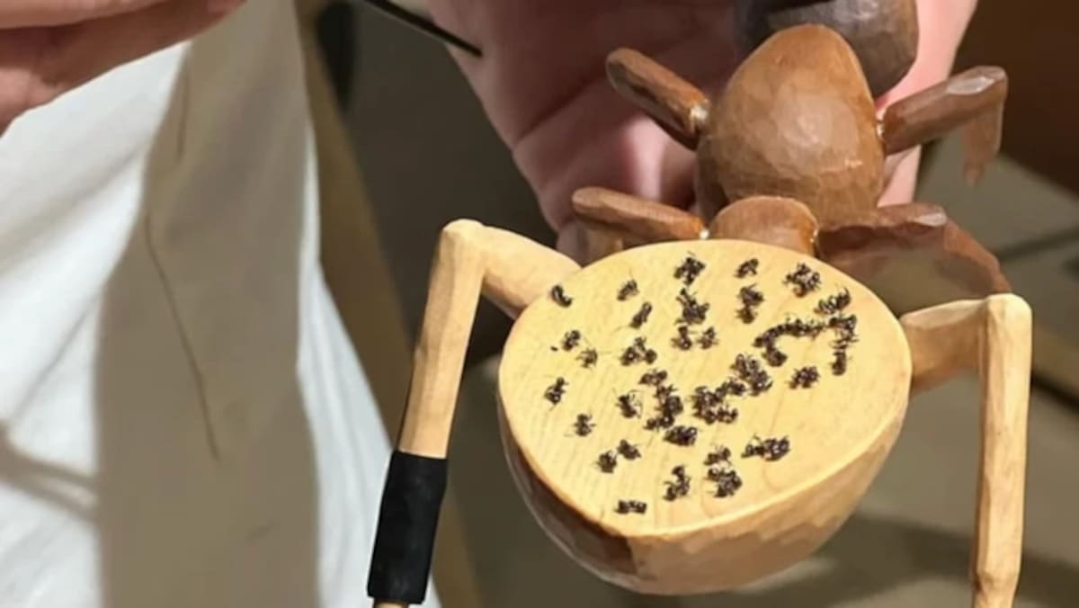 El restaurante Evett, de dos estrellas Michelin, fue sancionado por servir hormigas como parte de uno de sus postres.