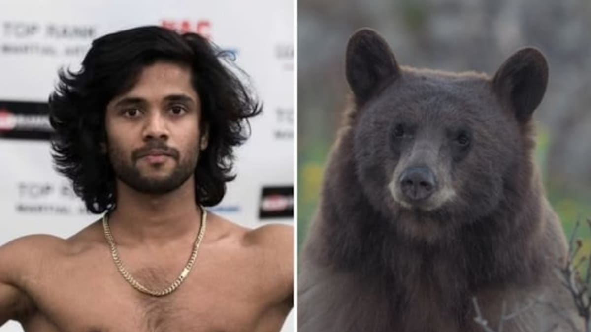 Luchador de MMA de India, de 27 años d edad, muere en ataque de oso en Canadá: la familia dice ‘UFC era su sueño’.