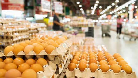 Avicultores en Santander se unen para donar un millón de huevos a bancos de alimentos