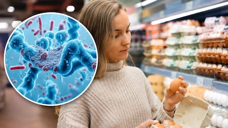 Alerta en EE.UU.: retiran 1,5 millones de docenas de huevos por posible contaminación con salmonela