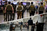 Aumentan arrestos de migrantes en aeropuertos de EE.UU.: ICE intensifica los operativos