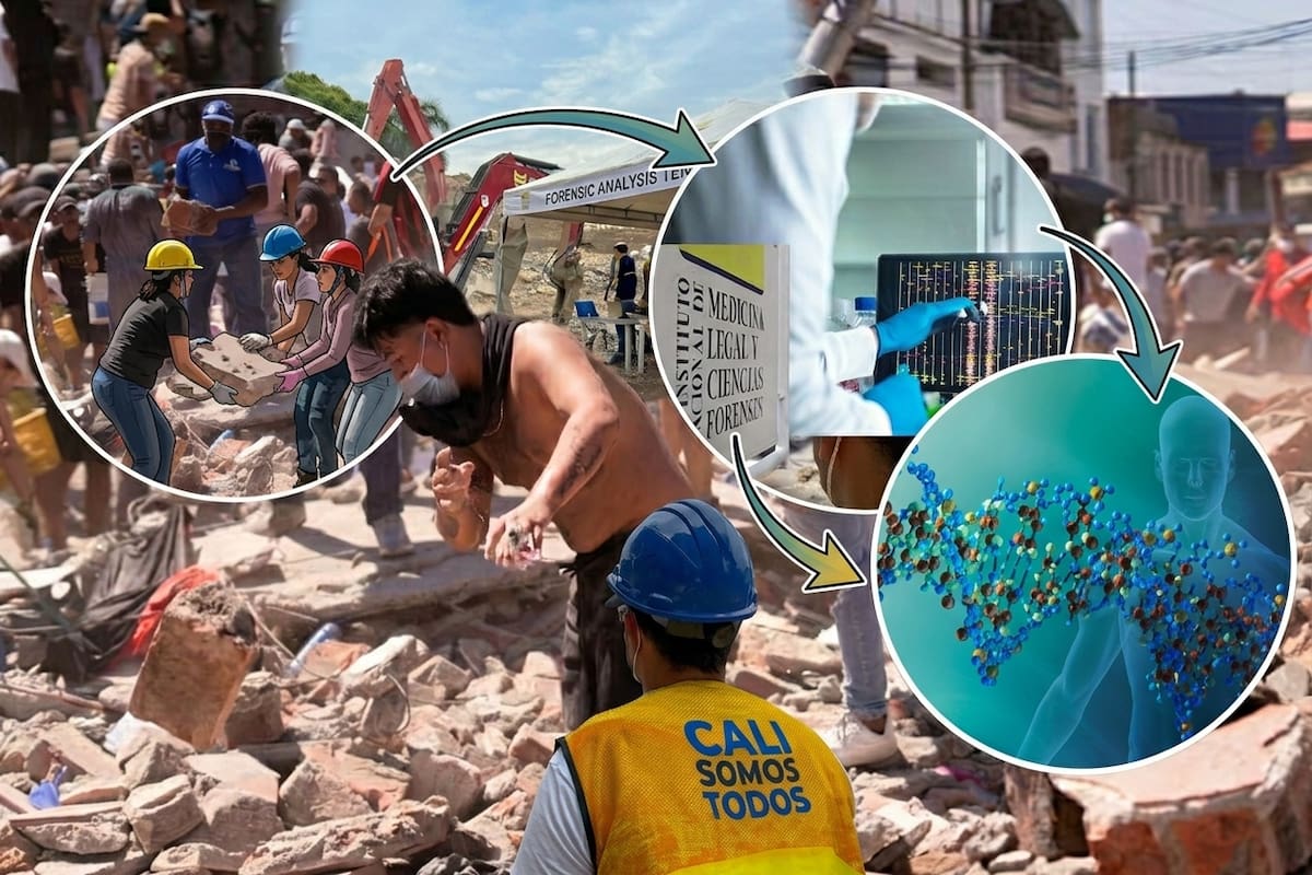 Expertos forenses analizan muestras y evidencias que pueden ser determinantes para identificar a las víctimas del terremoto.