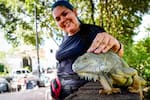 Las mujeres que heredaron el cuidado de las iguanas en el Malecón de Girón
