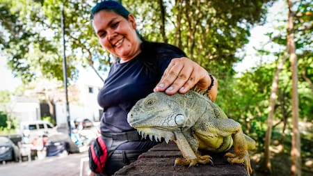 Las mujeres que heredaron el cuidado de las iguanas en el Malecón de Girón