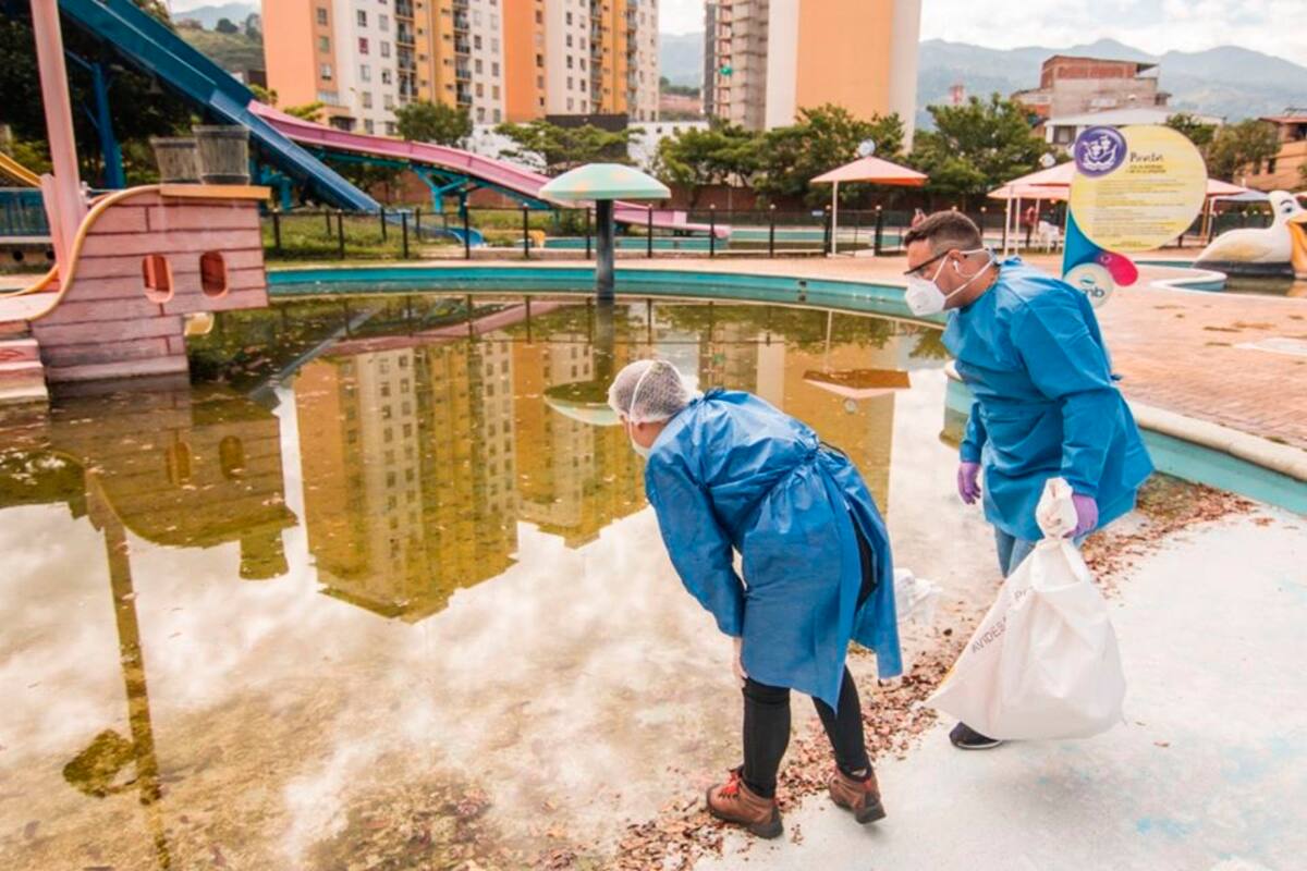 En mayo pasado, la Secretaría Local de Salud arribó al parque para llevar a cabo la siembra de peces guppies. Solo un pez de estos llega a devorar entre 50 y 60 larvas en un día. (Foto: Suministrada / VANGUARDIA)