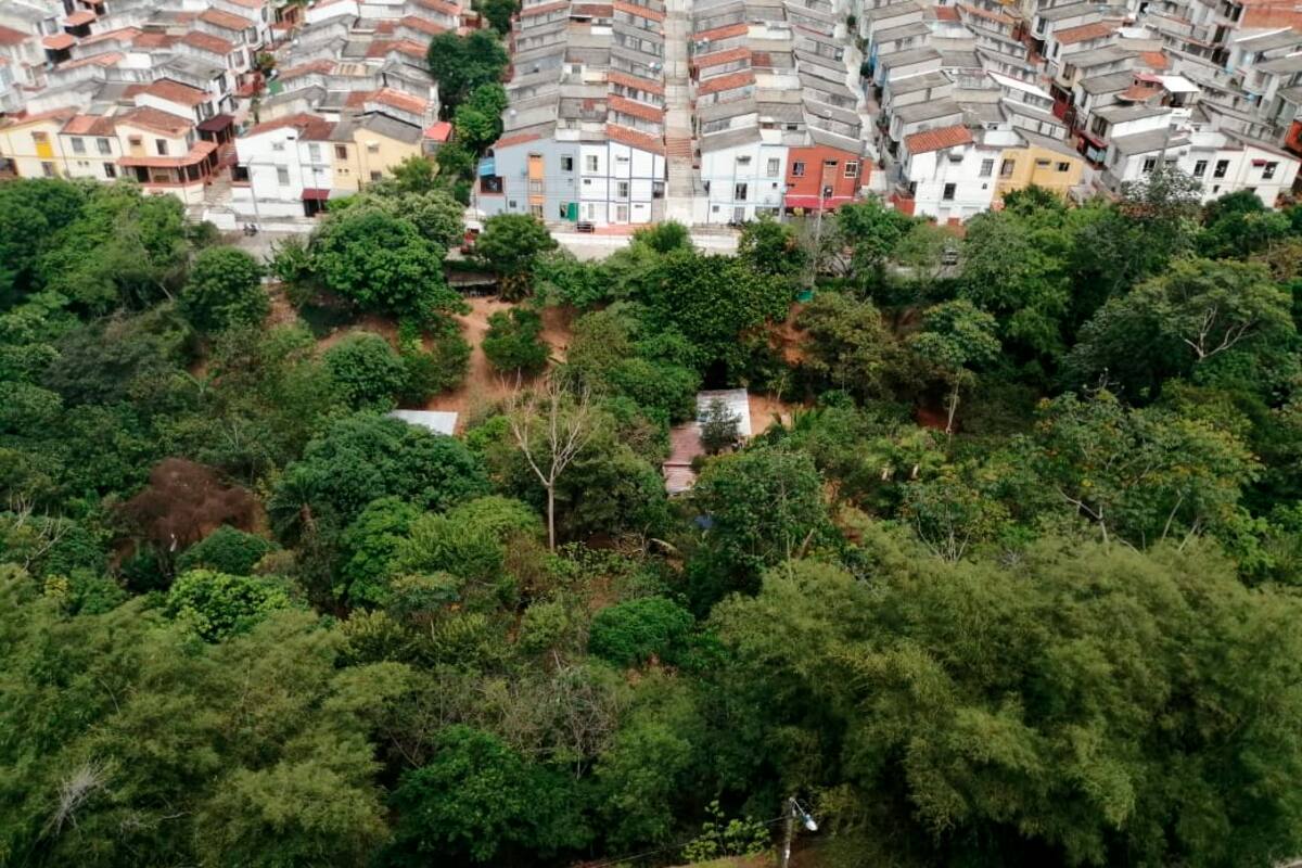 La comunidad asegura que uno de los invasores, ante las reclamaciones realizadas en pro de la protección de la reserva, se ha mostrado con actitud violenta y amenazante. (Foto: Suministrada / VANGUARDIA)