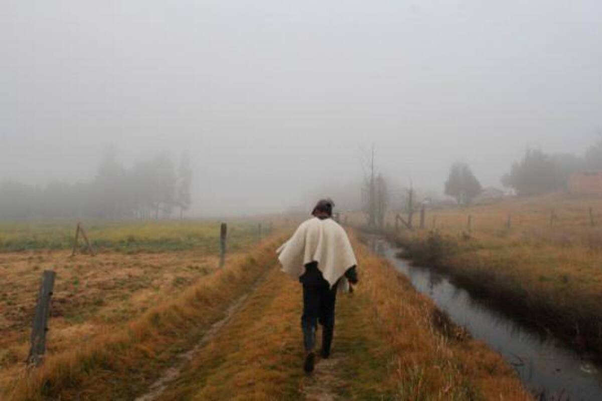 Archivo Colprensa / VANGUARDIA