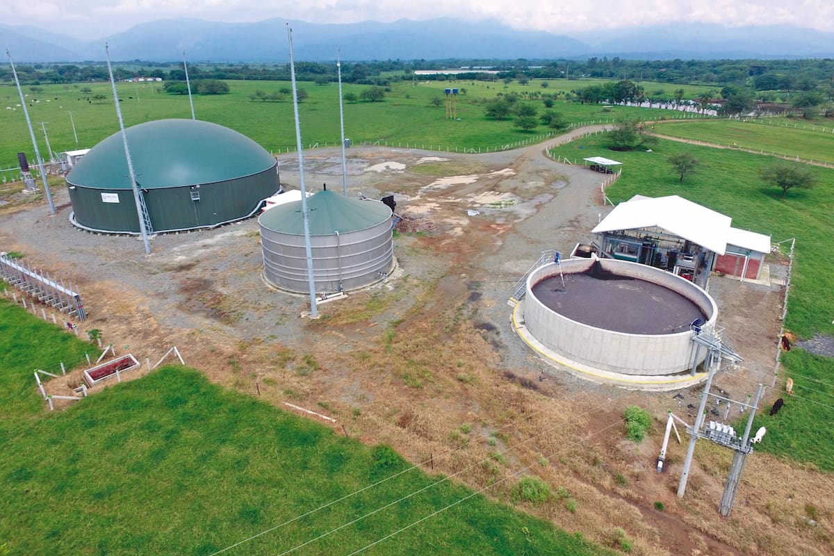 Suministradas: Huevos Kikes