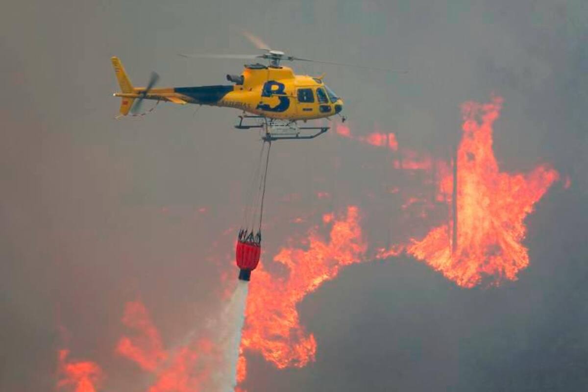 Uno de los impactos más graves del cambio climático es el incremento de los incendios forestales. Foto: GETTY.