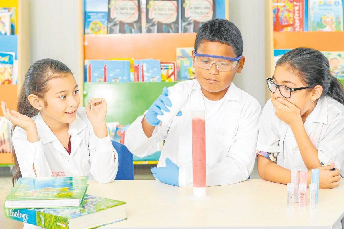 Suministrada Newport School / VANGUARDIA