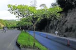 Intervienen deteriorada vía entre el peaje y Lebrija