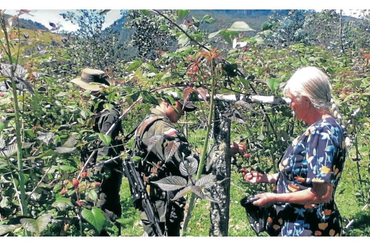 Lograr que las familias tengan una mejor calidad de vida, es uno de los objetivos de los proyectos que adelantan los patrulleros Técnicos Agropecuarios del Quinto Distrito Policía Vélez en la vereda Tendidos del Municipio El Peñón. (Foto: Suministrada/VANGUARDIA LIBERAL)