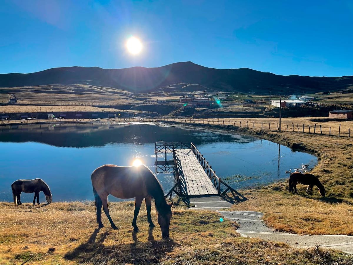 Suministradas Refugio Piedra Parada / Vanguardia
