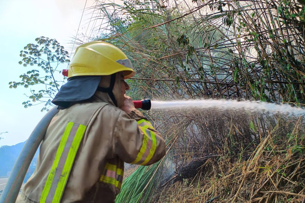 Foto: Franz Rey / VANGUARDIA