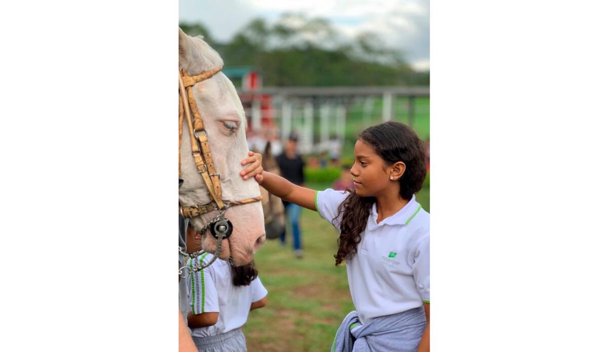 Suministradas Newport Schoool / VANGUARDIA