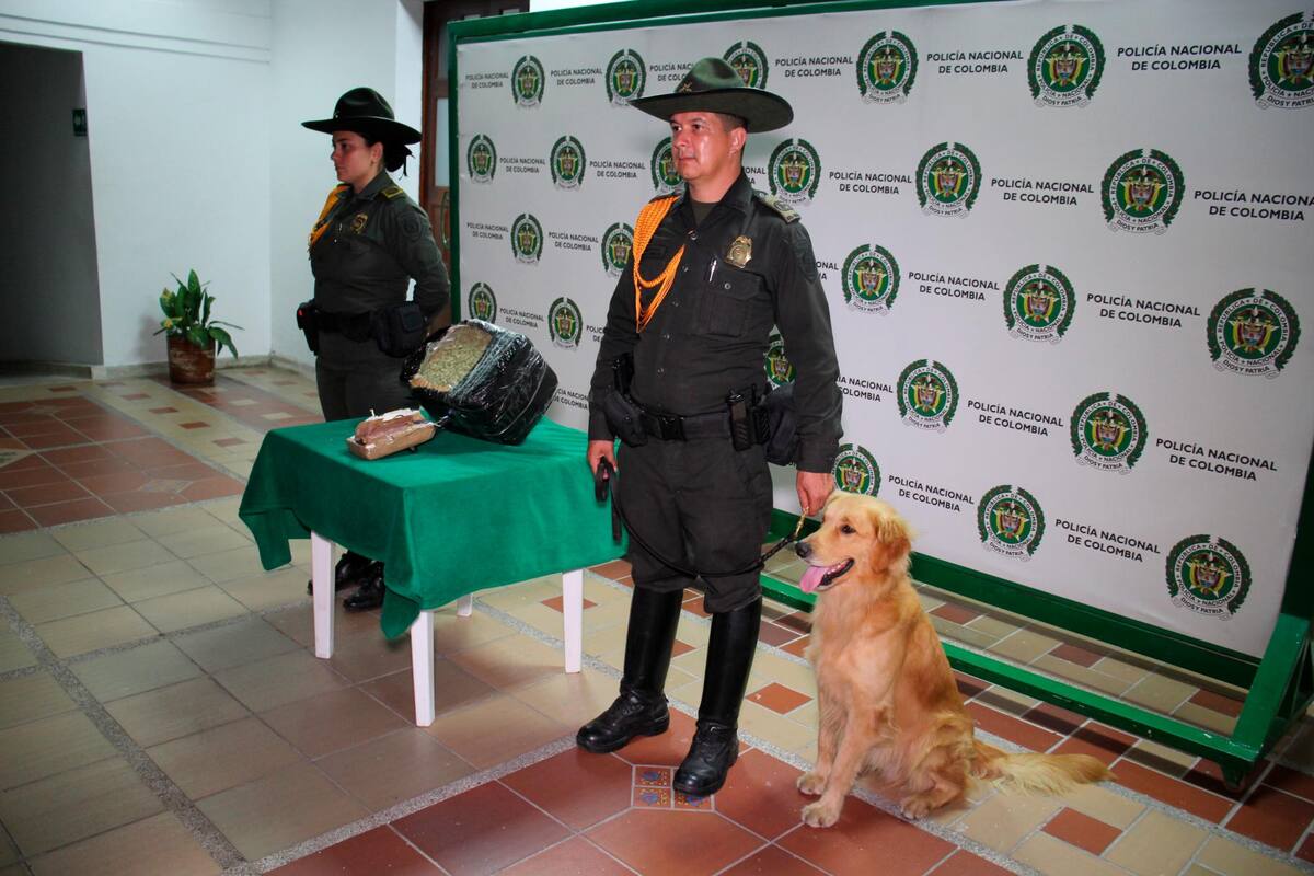 Foto / Suministrada