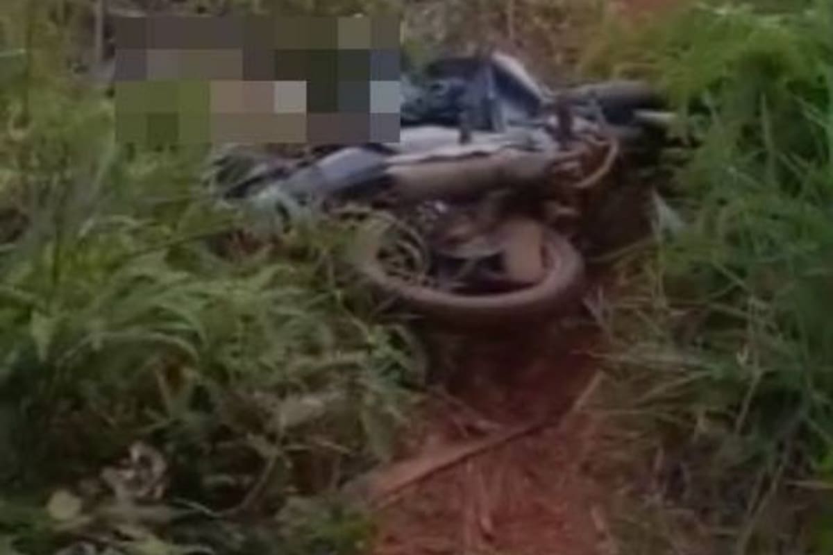 El fatal ataque de una pitón de siete metros contra un granjero en Indonesia.