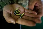 Fuertes combates entre Ejército y disidencias dejan seis muertos en Cauca