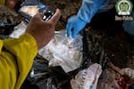 Incautan 4.921 kilos de cocaína en aeropuertos de Colombia durante septiembre 2026