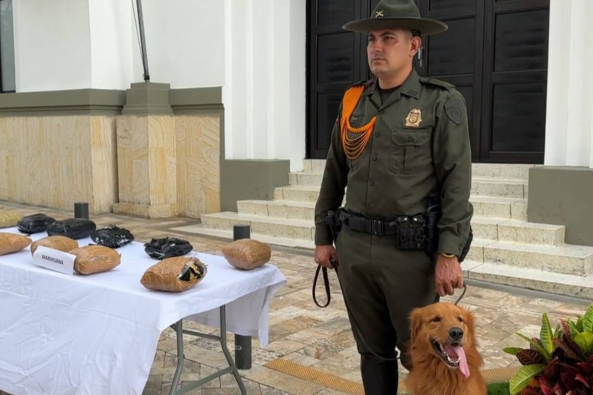 Incautan 52 kilos de marihuana en dos operativos en Bucaramanga