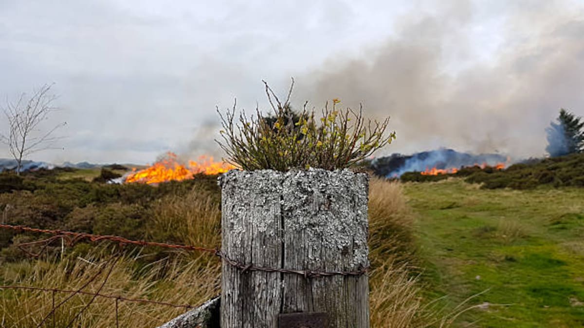 Europa registra un aumento de los días calurosos, una tendencia que contribuye a crear condiciones más favorables para los incendios.