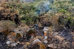 Páramo de Berlín: Siete días contra el incendio bajo tierra