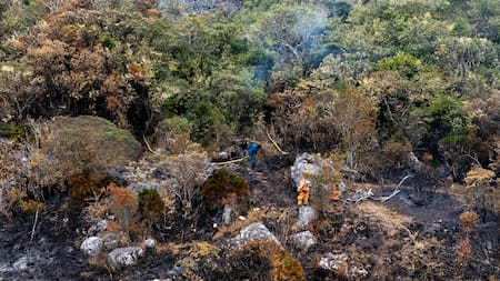Páramo de Berlín: Siete días contra el incendio bajo tierra