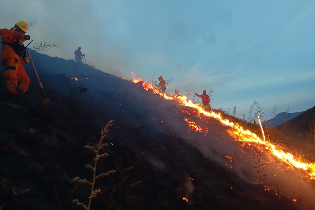 Imagen del incendio en Ábrego que tiene en alerta a los habitantes de la zona Foto: Foto: x @SNGRDColombia