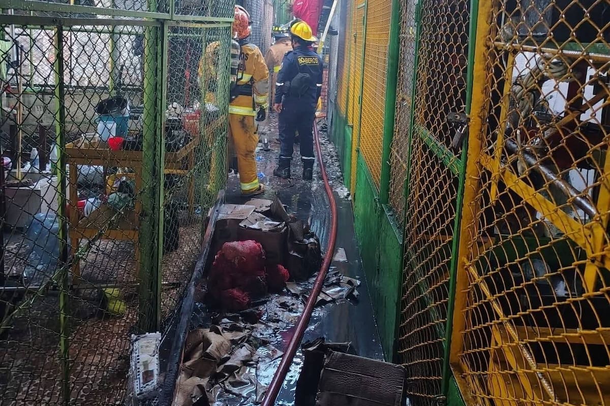 Bomberos de Barrancabermeja trabajaron por varias horas para controlar el voraz incendio.