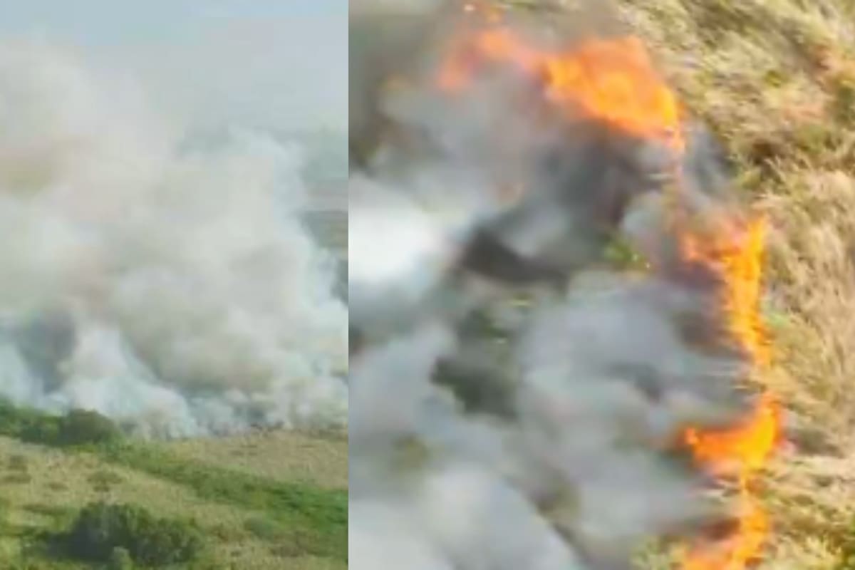El incendio también alcanzó barrios como Paraíso, Alameda del Río, Granadillo y Villa Santos.