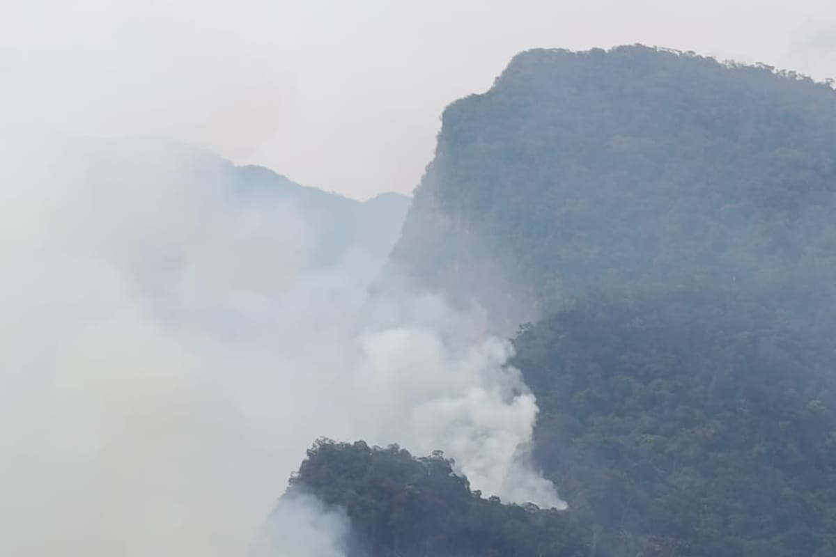 Incendio en El Peñón, Santander, consume bosque nativo: piden apoyo aéreo para contener las llamas | Foto Suministrada