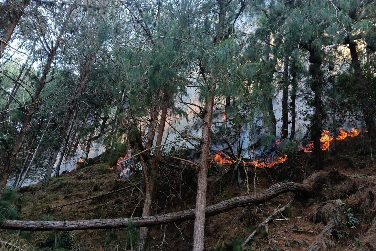 Graves incendios en varias regiones de Santander. Tomada de X