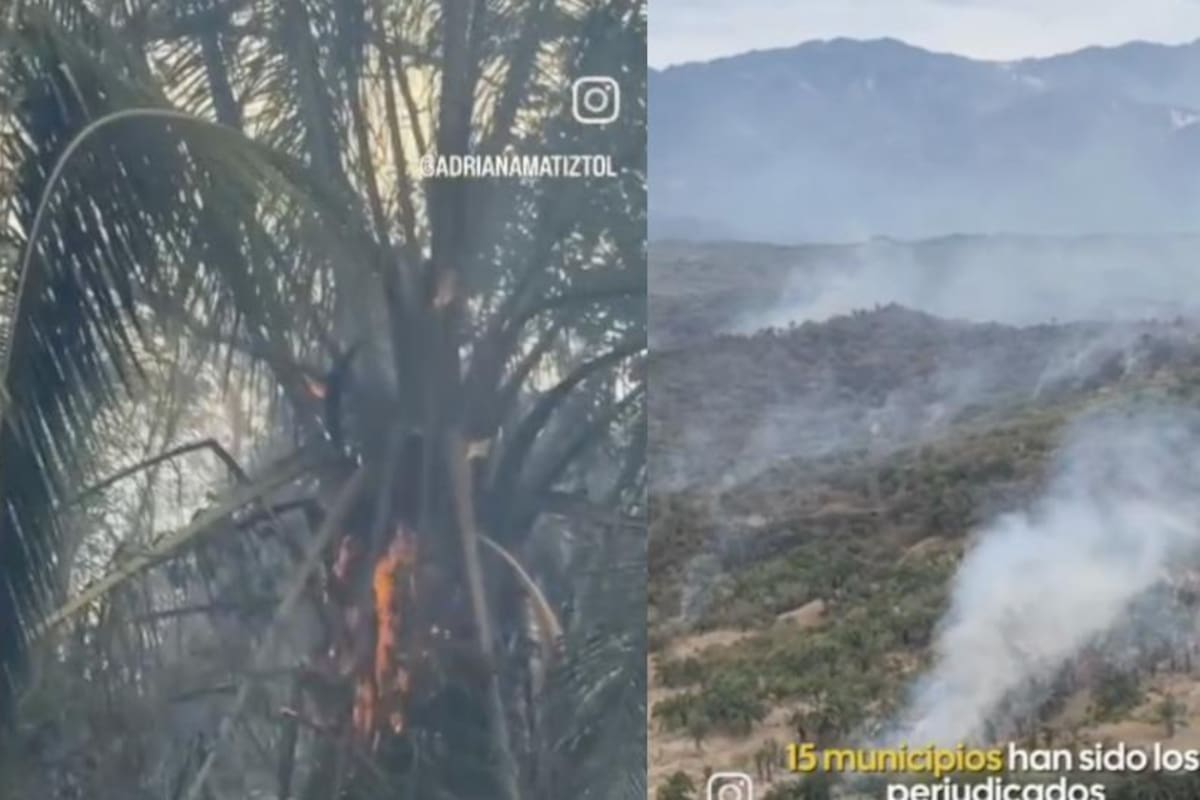 Incendio en Tolima: solicitan mayor apoyo aéreo al gobierno nacional para contener las llamas | Fotos Cortesía