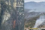 Incendios en Tolima: solicitan mayor apoyo aéreo al gobierno nacional para contener las llamas