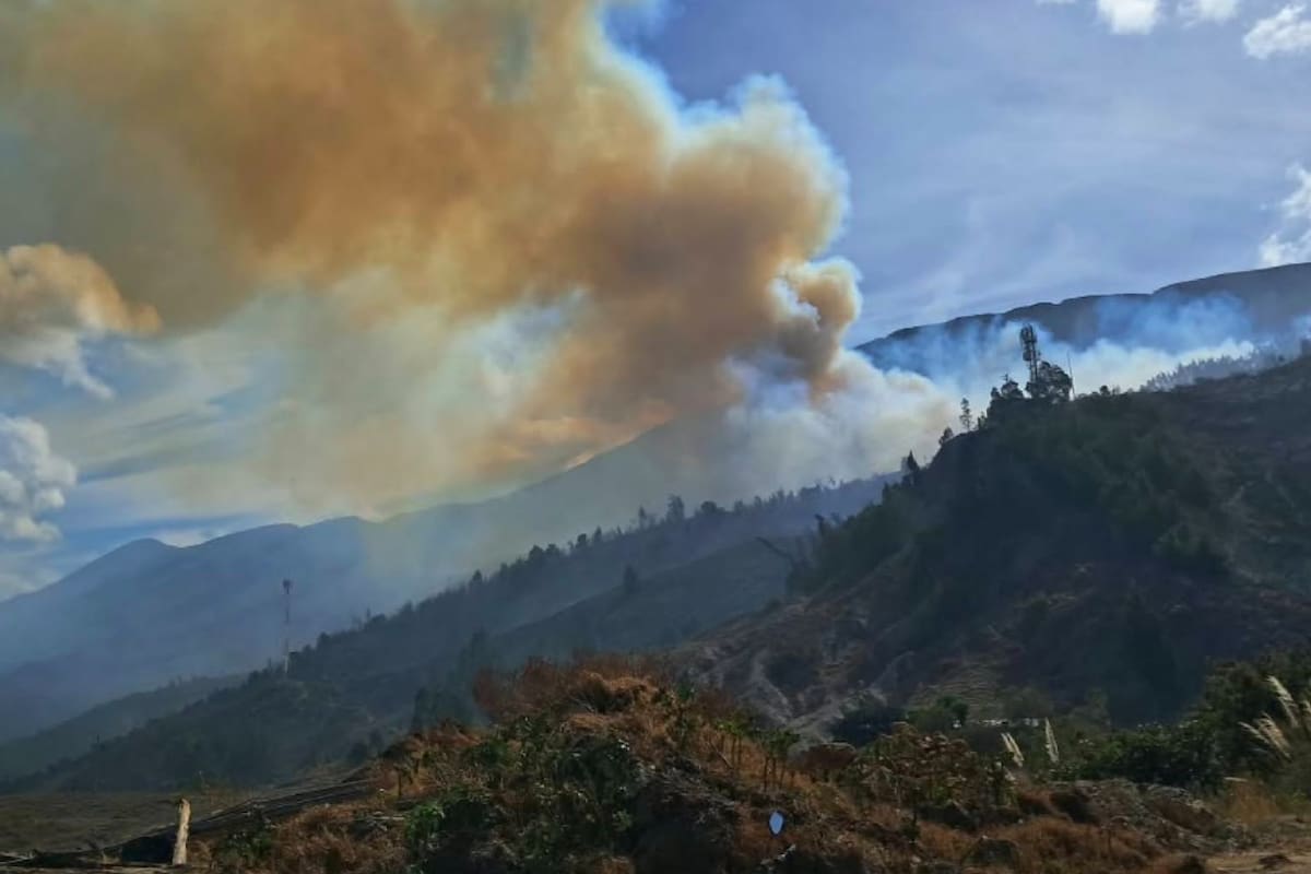 El incendio forestal que afecta el cerro San Marcos obligó a evacuar algunos hoteles ubicados en las zonas comprometidas.
Foto: Cruz Roja Colombiana Seccional Boyacá.