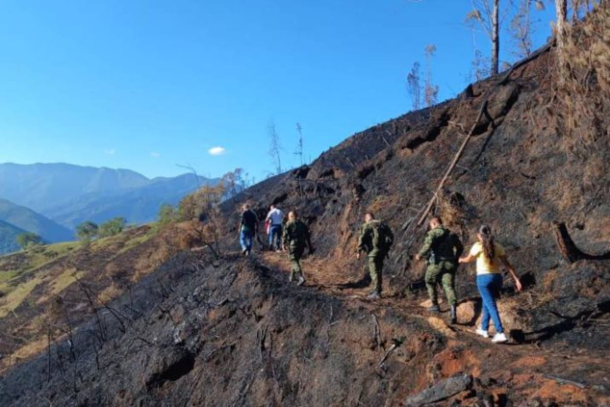 Los incendios forestales son una de las mayores preocupaciones por la llegada del verano.