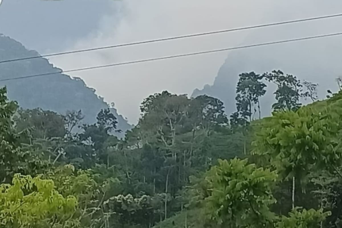 Incendio forestal en El Peñón completa más de 24 horas: piden apoyo aéreo para contener las llamas